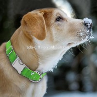 stainless steel metal buckle pet collar customized laser id pet collar